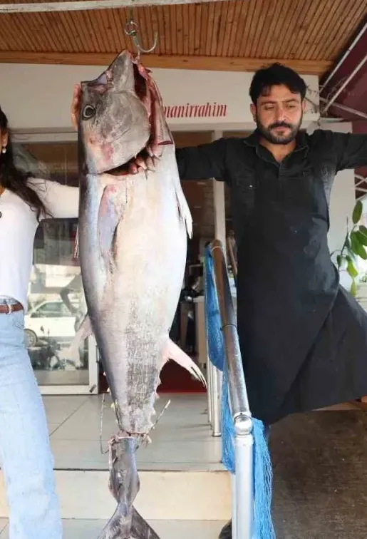  Kozan’da 55 kilogram Orkinos Balığı Yakalandı.