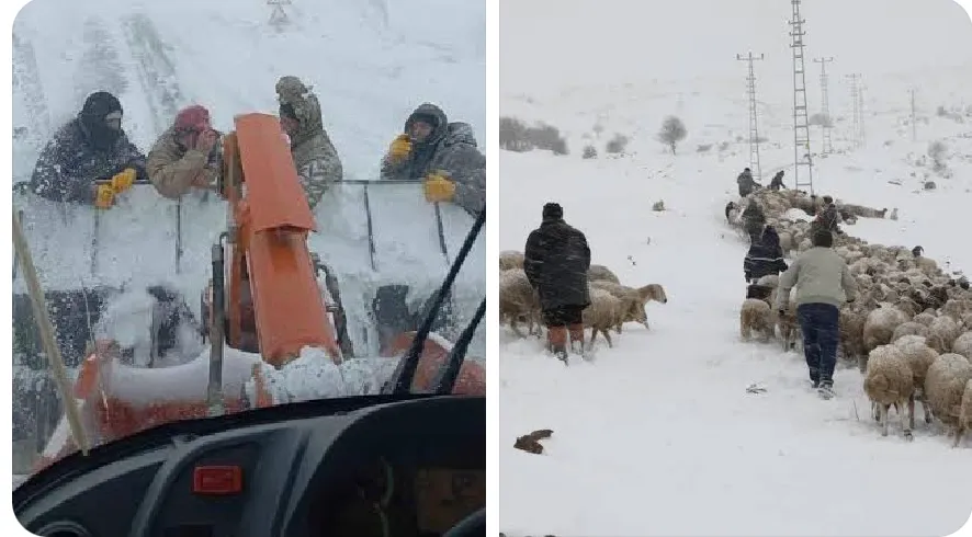 Feke Yaylalarında Mahsur Kalan Çobanlar Kurtarıldı...