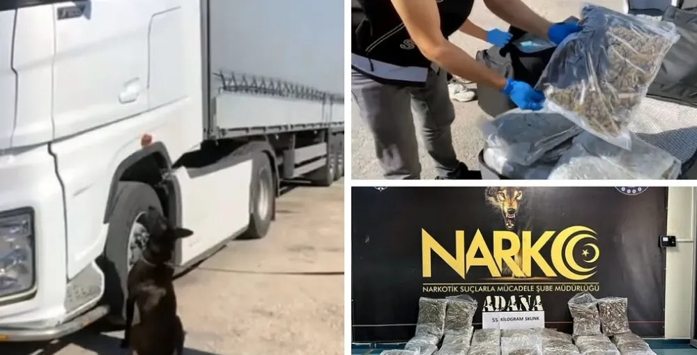 TIR’daki valizlerden 55 kilo skunk çıktı;Uyuşturucularla bir alakam yok” dedi