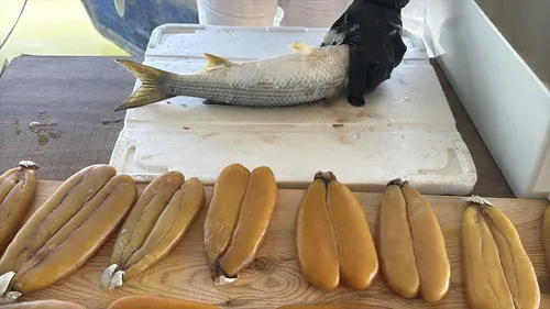 Adana Ekonomisi