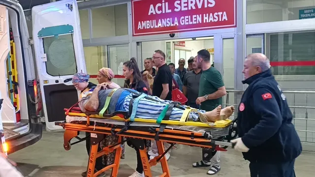 Zeytin bahçesindeki tepeden düşüp, yaralandı