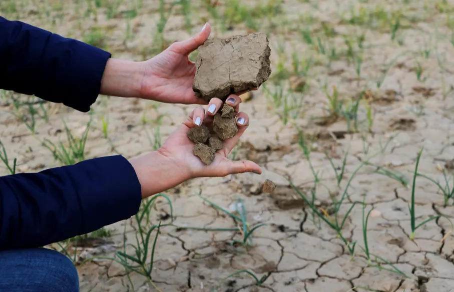 Adana’da 52 Yılın En Kurak Dönemi...Yağışlar yüzde 26 azaldı..  