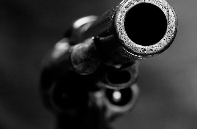 18 Yaşındaki Genç Silah Temizliği Yaparken Kendini Vurdu...