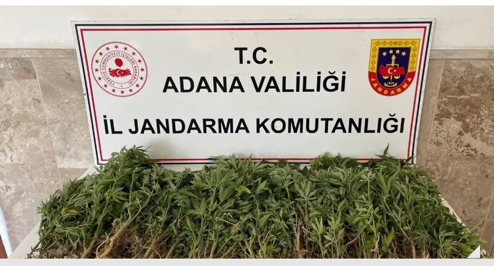 Jandarma