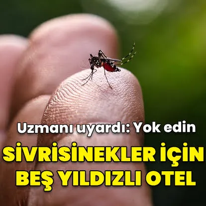 Prof. Dr. Akça 