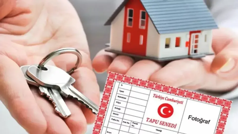 Danıştay 