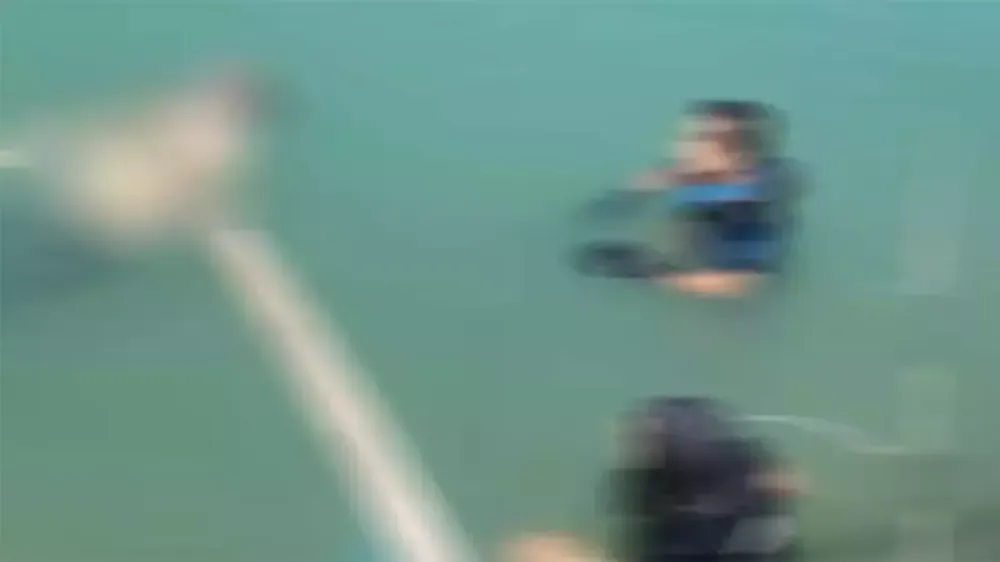 Sulama Kanalına Düşen Yigenini Kurtarmaya Çalışan Dayı Hayatını Kaybetti..