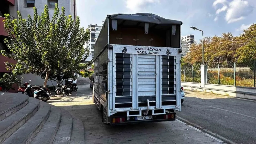Adana