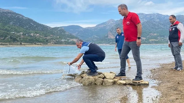 Adana'da göl ve göletlere 665 bin sazan yavrusu bırakıldı