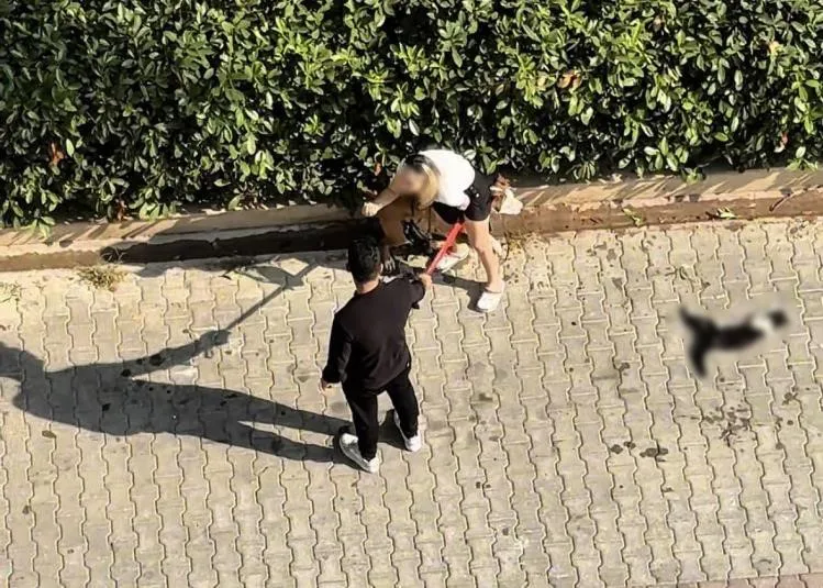 Pitbull saldırısında yeni gelişme: Köpeğin sahibine 95 bin TL ceza 