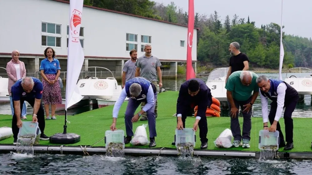 Adana’da 2 milyon 283 bin yavru sazan suyla buluşuyor