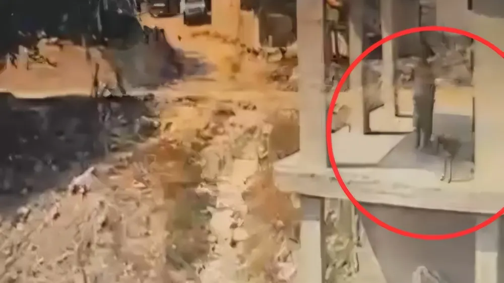 Adana’da köpeğe sopayla şiddet..