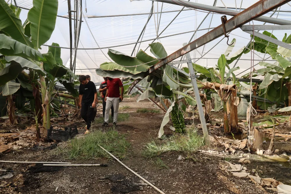 Adana’da fırtına üretim tesislerini vurdu: 20 bin civciv telef oldu, muz serası yıkıldı